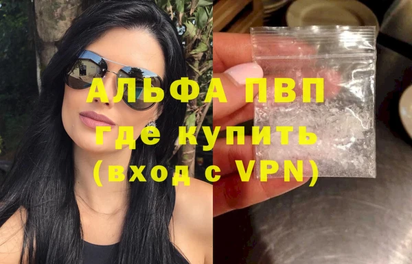 прущие грибы Магадан