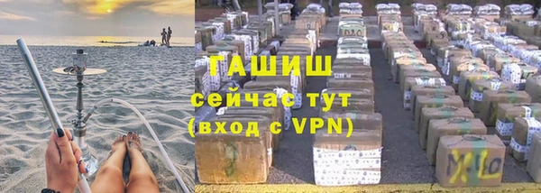 прущие грибы Магадан