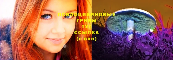 стафф Майский