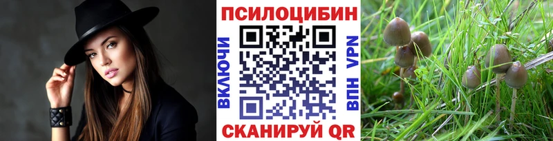 Псилоцибиновые грибы GOLDEN TEACHER  где купить наркоту  Ельня 